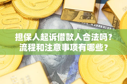 济南担保人起诉借款人合法吗？流程和注意事项有哪些？