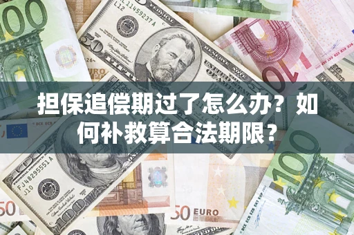 济南担保追偿期过了怎么办？如何补救算合法期限？