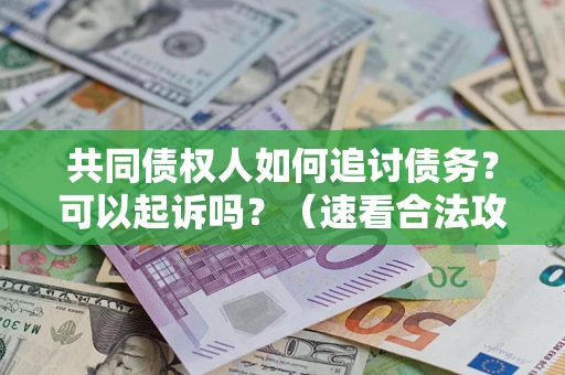 济南共同债权人如何追讨债务？可以起诉吗？（速看合法攻略）