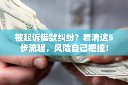 济南被起诉借款纠纷？看清这5步流程，风险自己把控！