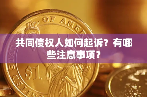 济南共同债权人如何起诉？有哪些注意事项？