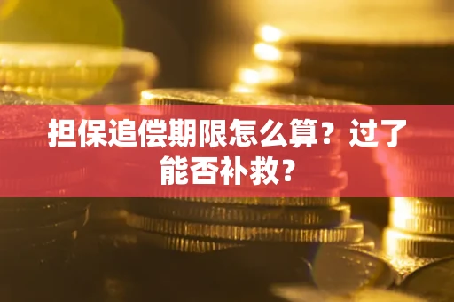 济南担保追偿期限怎么算？过了能否补救？